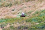 IMG 9653-2