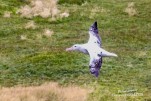 IMG 9632