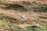 IMG 9704