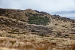 IMG 9962