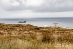 IMG 9978
