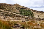 IMG 9969