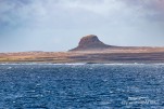 IMG 9861