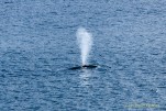IMG 9828