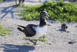 IMG 9439